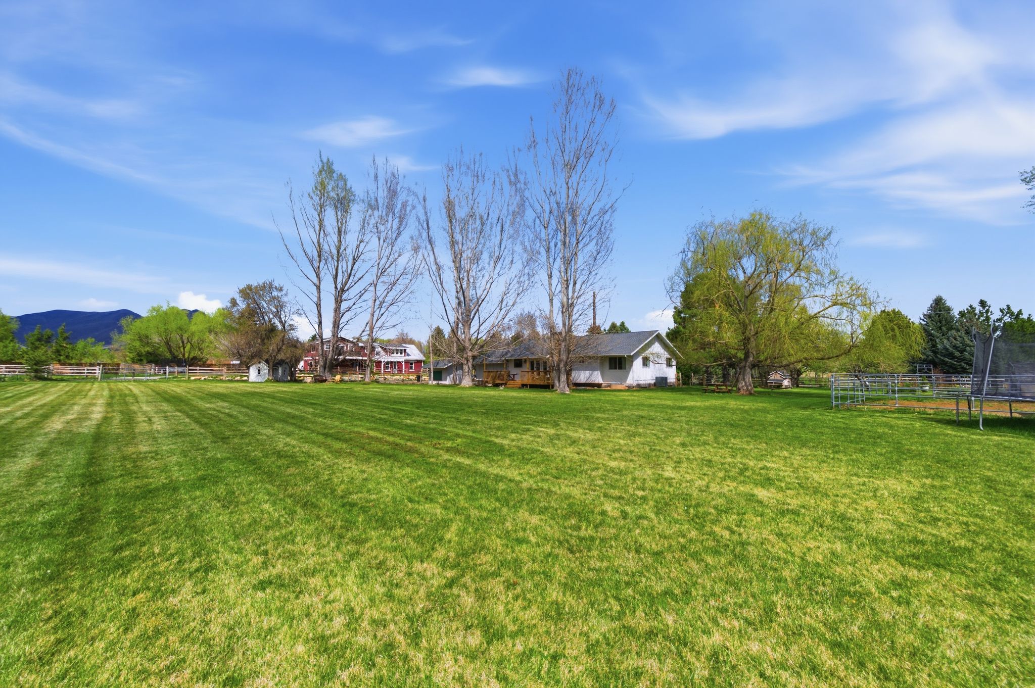 Wide back lawn looking across the 1.05-acre property